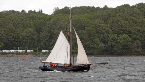 Elbe, Volker Gries, Rum-Regatta 2022 , 05/2022