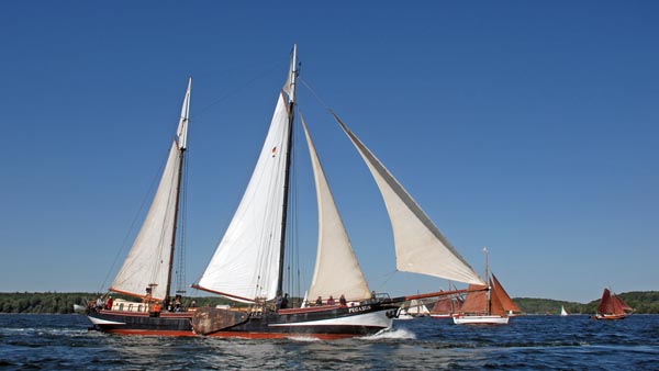 Pegasus, Volker Gries, Rum-Regatta 2023 , 05/2023