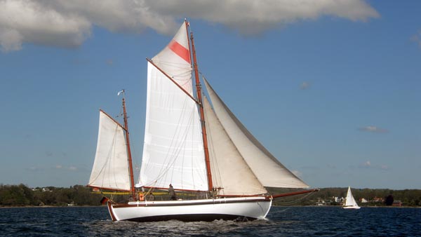 Rollo, Volker Gries, Rum-Regatta 2023 , 05/2023