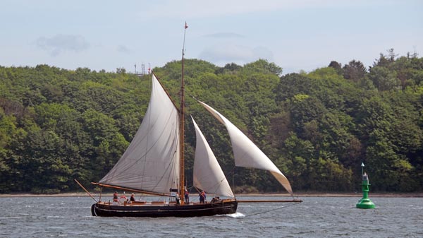 Viking, Volker Gries, Rum-Regatta 2023 , 05/2023