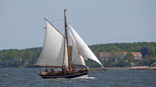 Mytilus, Volker Gries, Rum-Regatta 2023 , 05/2023