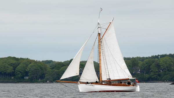 D' Olly, Volker Gries, Rum-Regatta 2024 , 05/2024