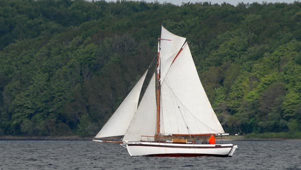 Rid, Volker Gries, Rum-Regatta 2024 , 05/2024