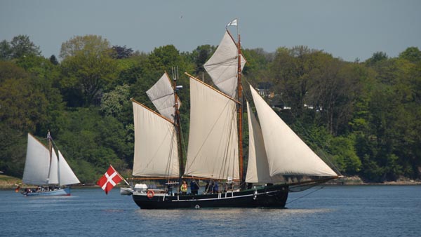 Haabet, Volker Gries, Rum-Regatta 2024 , 05/2024