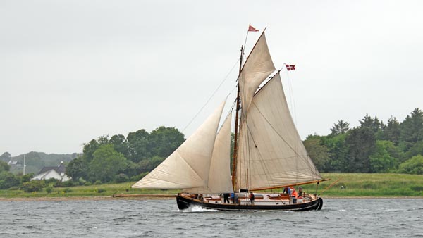 Viking, Volker Gries, Rum-Regatta 2025 , 06/2025