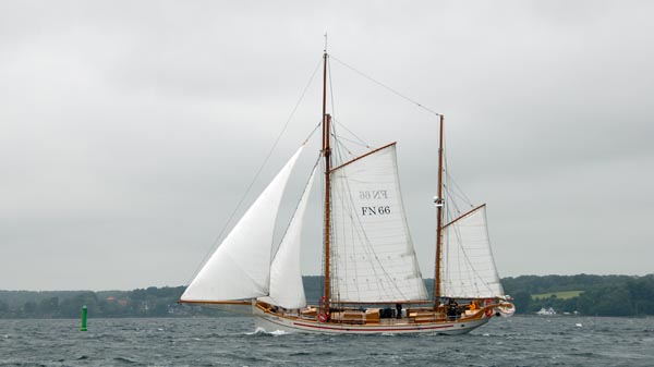 Carmelan, Volker Gries, Rum-Regatta 2025 , 06/2025