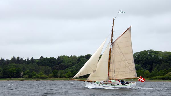 Thor, Volker Gries, Rum-Regatta 2025 , 06/2025
