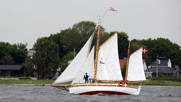 Frigg, Volker Gries, Rum-Regatta 2025 , 06/2025