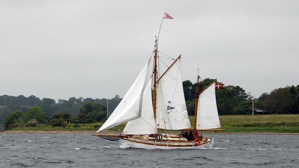 Frigg, Volker Gries, Rum-Regatta 2025 , 06/2025