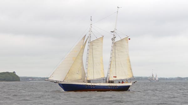 Galathea, Volker Gries, Rum-Regatta 2025 , 06/2025
