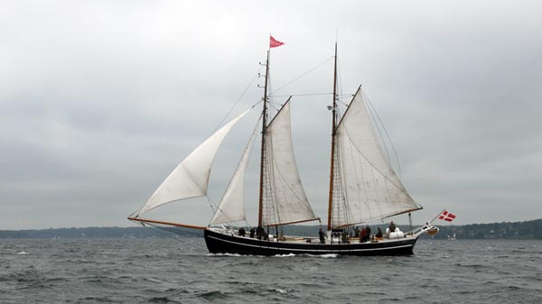 Mira, Volker Gries, Rum-Regatta 2025 , 06/2025