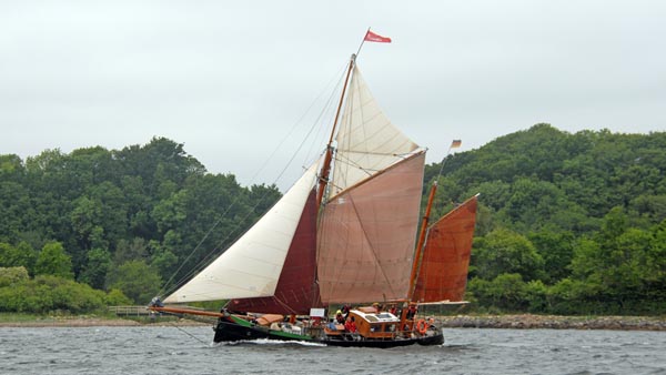 Seestern, Volker Gries, Rum-Regatta 2025 , 06/2025