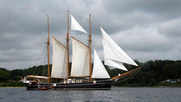 Den Store Bjørn, Volker Gries, Rum-Regatta 2025 , 06/2025