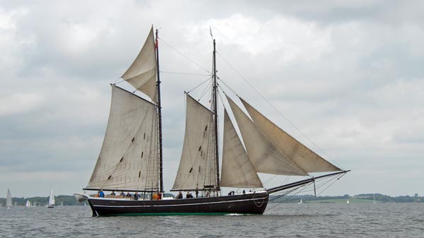 Martha, Volker Gries, Rum-Regatta 2025 , 06/2025