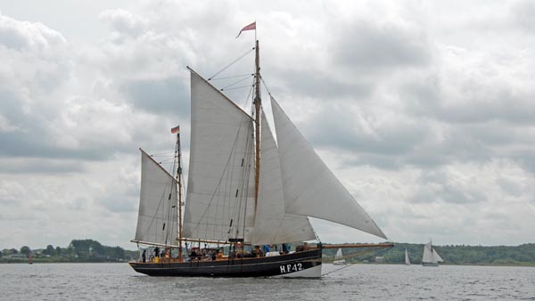 Providentia HF42, Volker Gries, Rum-Regatta 2025 , 06/2025