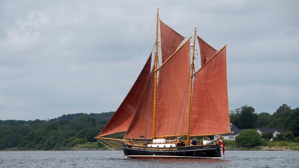 Palnatoke, Volker Gries, Rum-Regatta 2025 , 06/2025