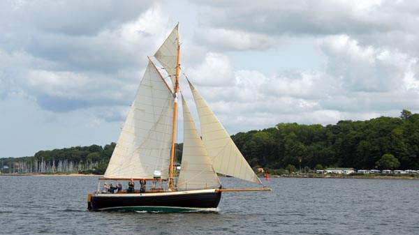 Homo Faber, Volker Gries, Rum-Regatta 2025 , 06/2025