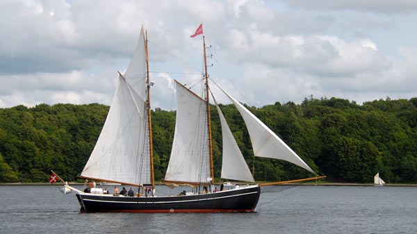 Mira, Volker Gries, Rum-Regatta 2025 , 06/2025
