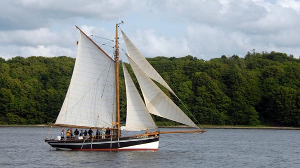 Mytilus, Volker Gries, Rum-Regatta 2025 , 06/2025