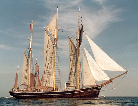 Albatros, Werner Jurkowski, Rostock , 07/1991