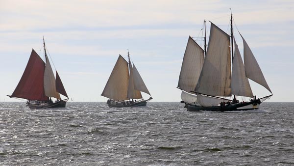 Small klippers at the Brandarisrace