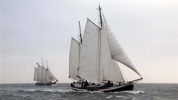 Regatta für Plattbodensegelschiffe