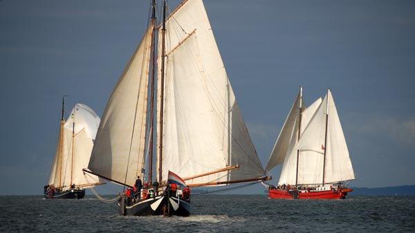 Regatta for Dutch Klippers of the so-called Brown Fleet