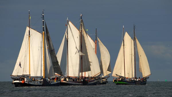 Joint journey along the Pollendam to the starting point