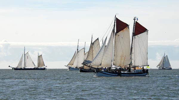 Tacking in the Brandaris Race 2025