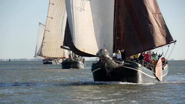 Preparation for the sailing regatta on the Wadden Sea