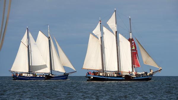 Sailing in the Brandaris Race