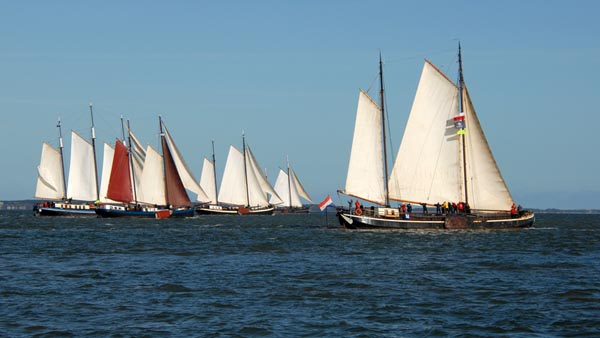 Regatta field off Terschelling at the Brandaris Race 2025