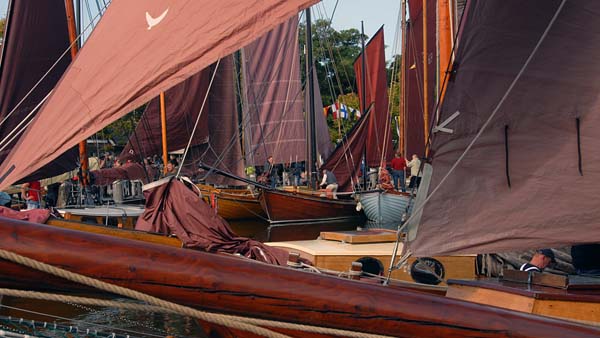 Brown sails in the habour of Althagen
