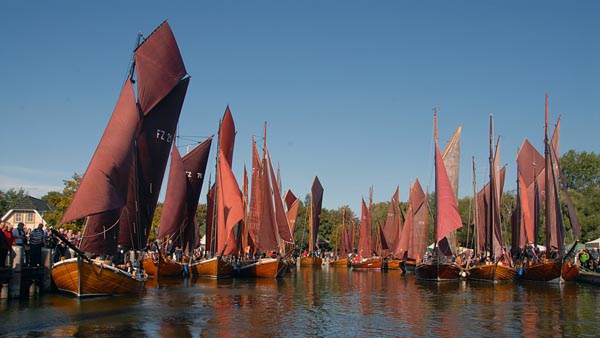 The habour is full of boats!