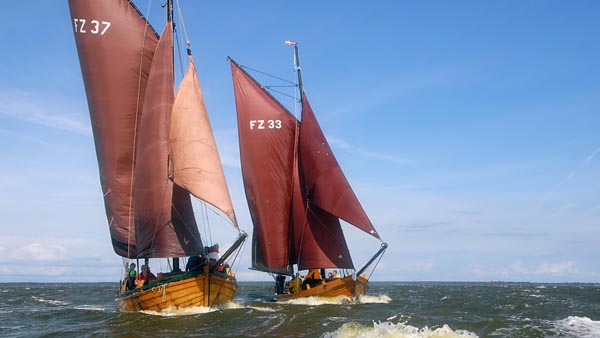 Zeesboote im Saaler Bodden