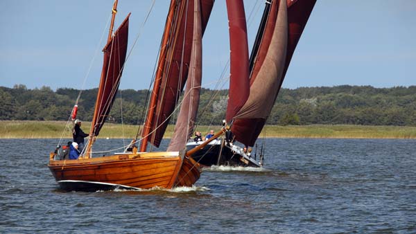 Regatta off the Fischland/Darß