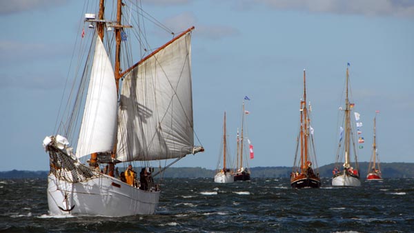 Hajkutter before the regatta start