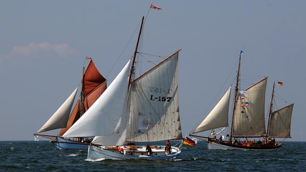 Hajkutter regatta 2017