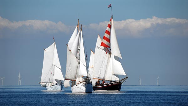 Hajkutter regatta