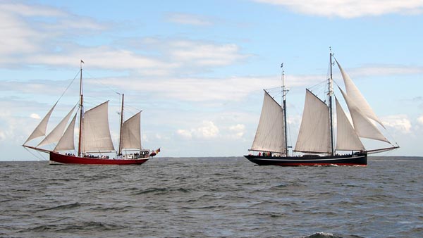 Logger at the Hanse Sail Rostock