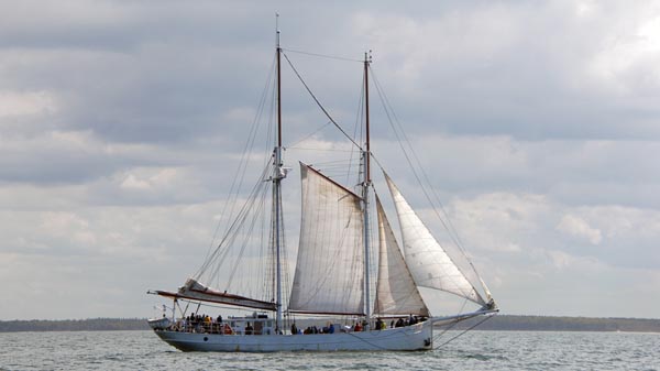 Schooner "Joanna Saturna"