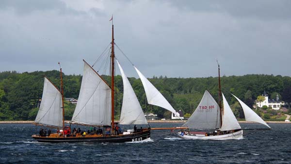 Sailing the Rumregatta