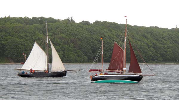 Segelschiffe der Rumregatta