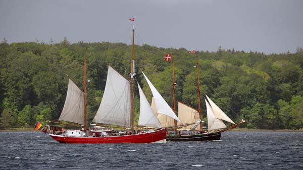 Regatta auf der Förde