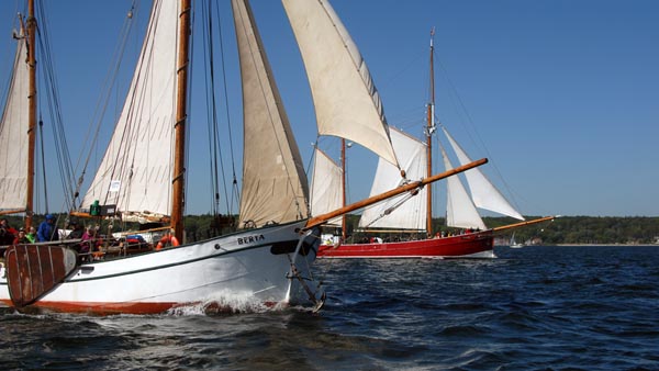 Regatta auf der Flensburger Förde