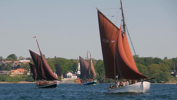 Sailing to the Rumregatta