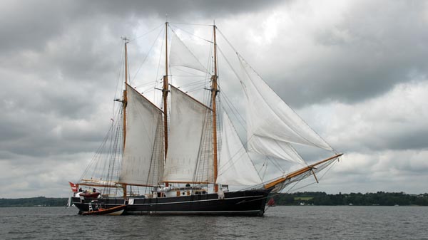 3-Mast-Schoner "Den Store Bjørn" bei der Rumregatta 2025