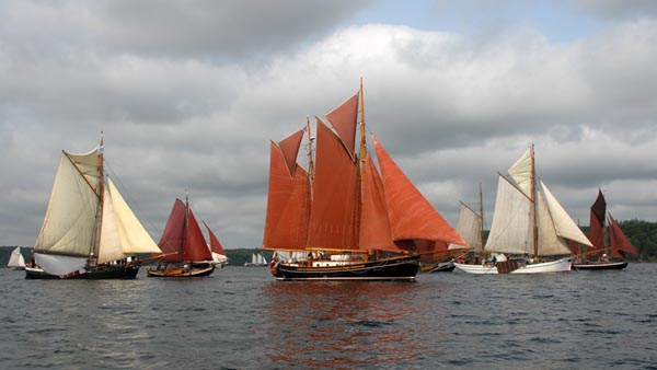 Leider nur wenig Wind bei der Rumregatta