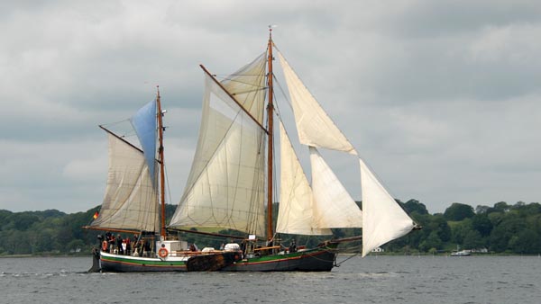 Besanewer "Windsbraut" bei der Rumregatta 2025