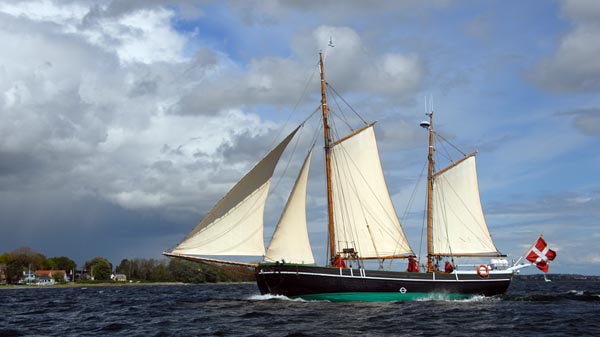 "Haabet", schon häufig in Flensburg mitgesegelt
